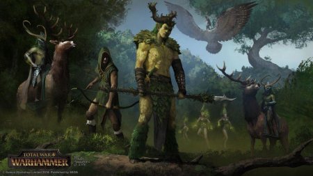 Лесные эльфы вархаммер 2