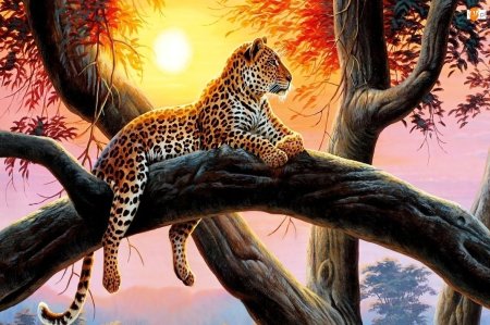 Леопард на дереве