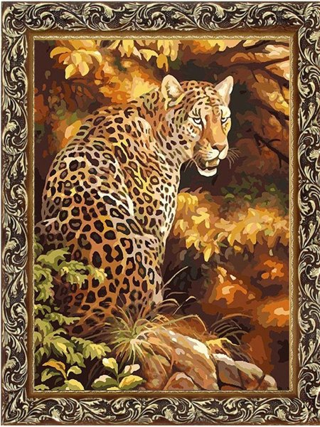 Дименшенс 35209