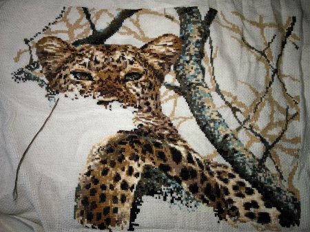 Риолис леопард 937