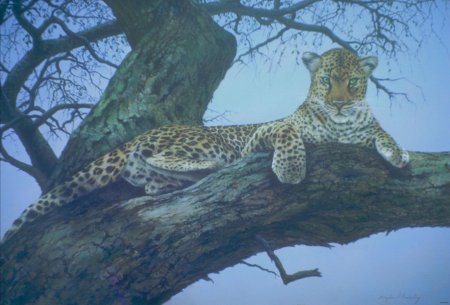 Гепард на дереве арт