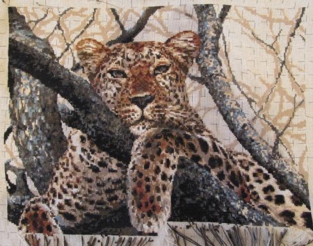 Риолис леопард 937