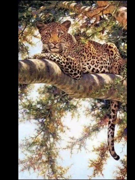 Вышивка леопард на дереве