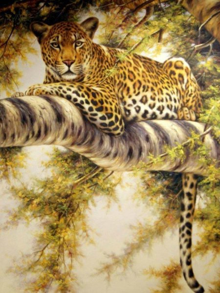 Фотообои с животными