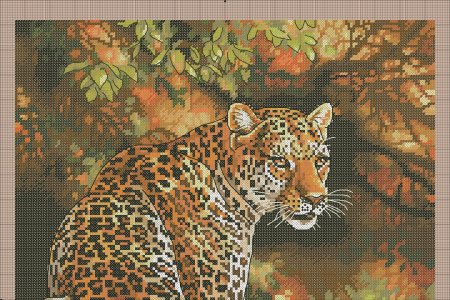 Дименшенс Ягуар