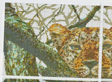 Риолис леопард 937