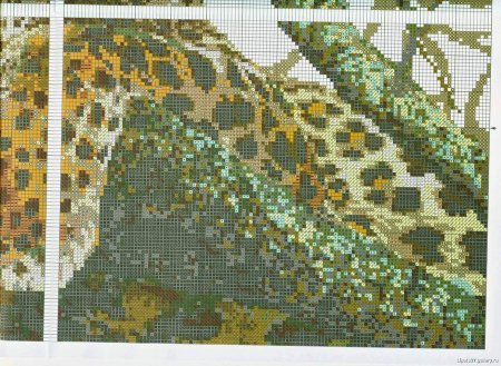 Риолис леопард 937