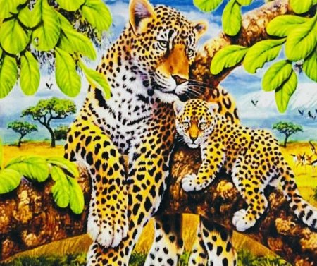 Золотое Руно леопард