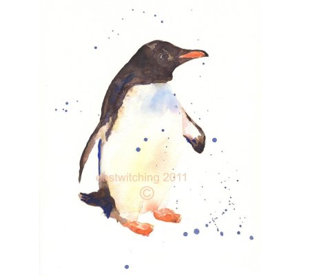 Пингвин акварелью