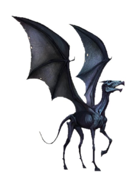 Фестрал Гарри