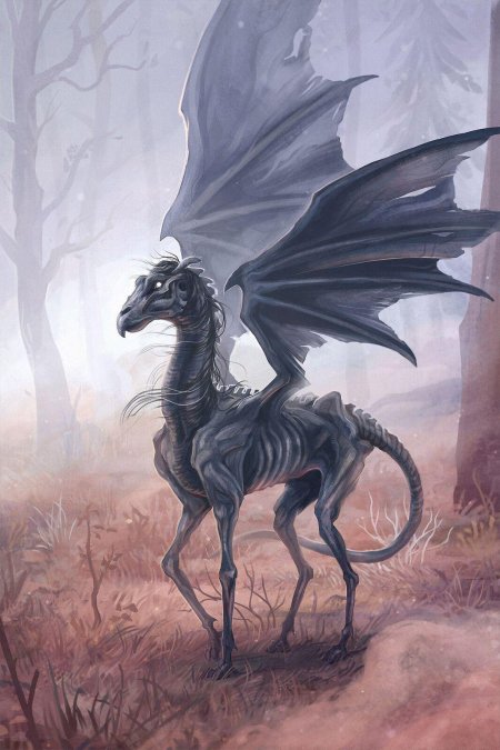 Фестрал Гарри Поттер