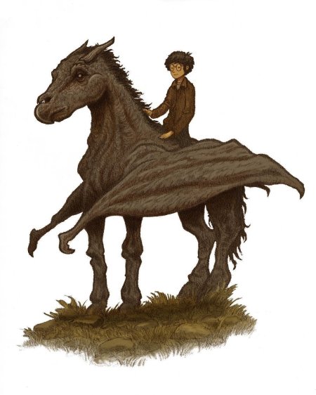 Фестрал Гарри Поттер