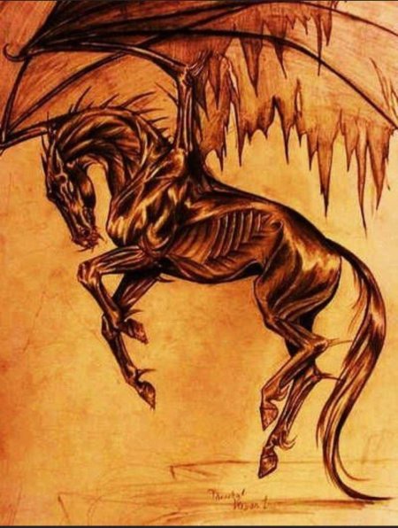 Фестрал Гарри Поттер