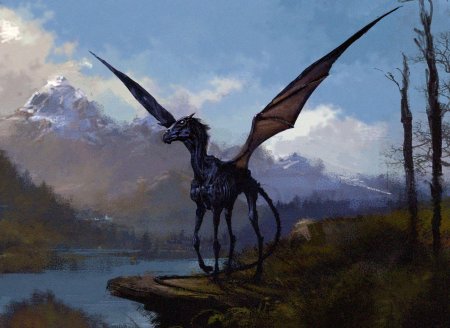 Фестралы Гарри Поттер