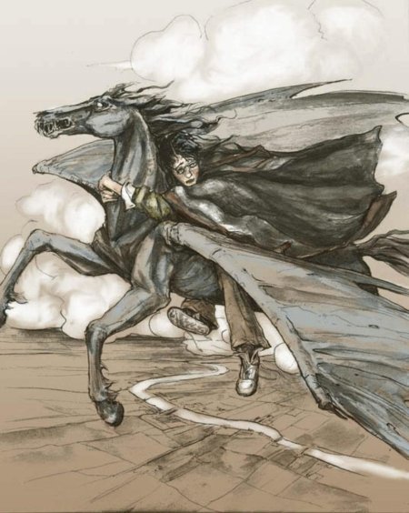 Фестрал Гарри Поттер