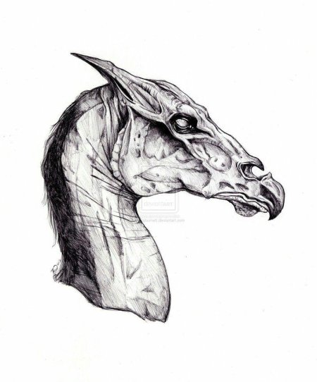 Фестрал Гарри Поттер рисунок