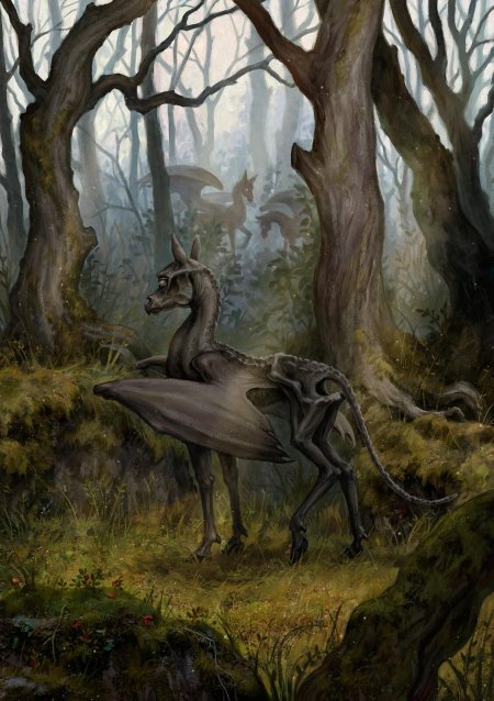 Фестрал Гарри Поттер