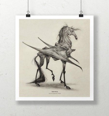 Фестралы Гарри Поттер