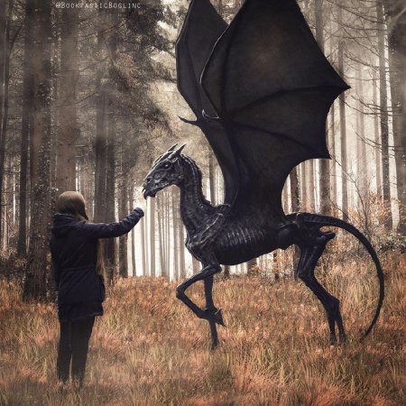 Фестрал Гарри