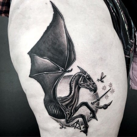 Фестралы Гарри Поттер