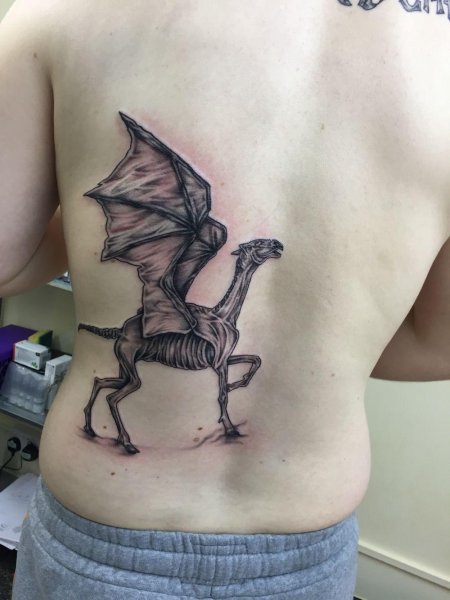 Фестрал Гарри Поттер