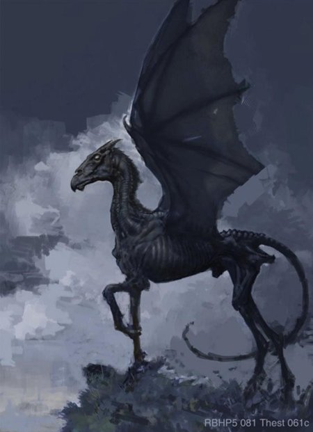 Фестрал Гарри Поттер