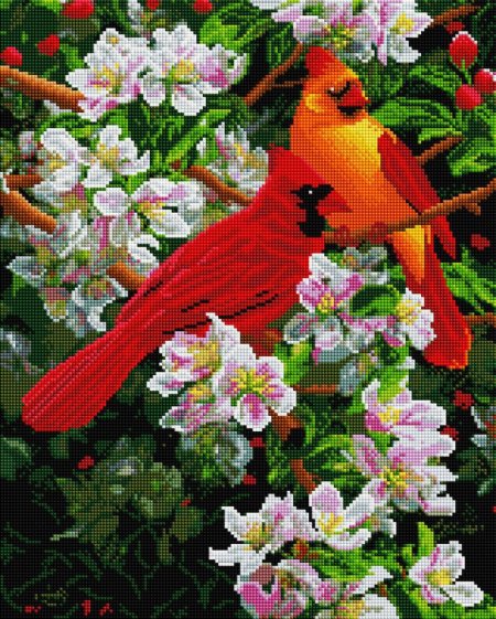 Алмазная мозаика птички