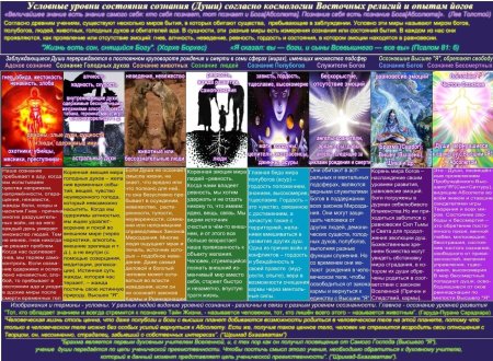 Уровни развития сознания