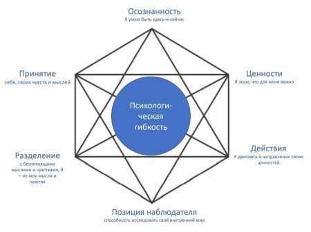 Гексафлекс терапия принятия и ответственности
