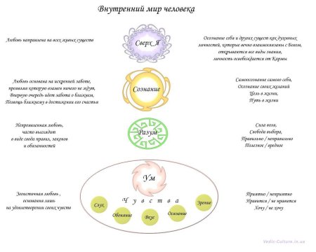 Структура личности веды