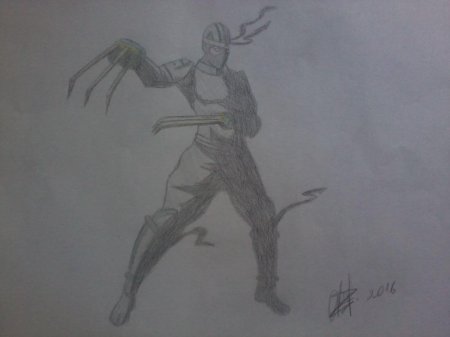 Шедоу файт 2