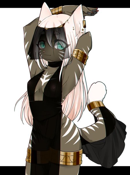 Фурии кошки