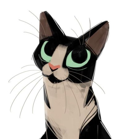 Heather Nesheim кошки