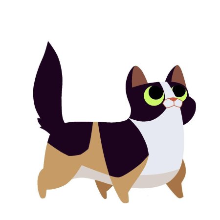 Манчкин кошка трехцветная