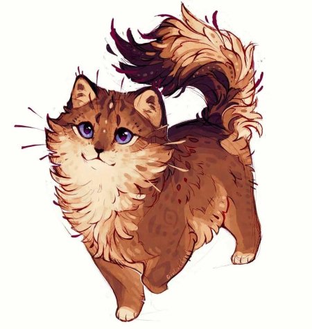 Коты Воители бурый кот