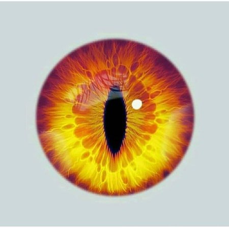 Желтые зрачки