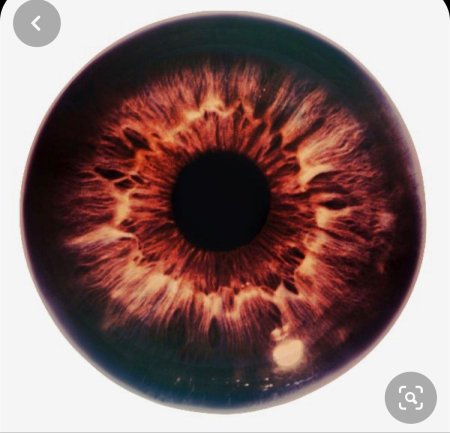 Радужка глаза