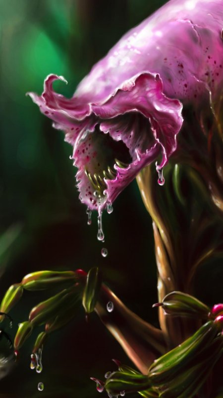 Хищное растение Чародейка