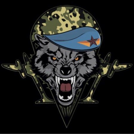 Шеврон 45 бригады спецназа ВДВ С волком