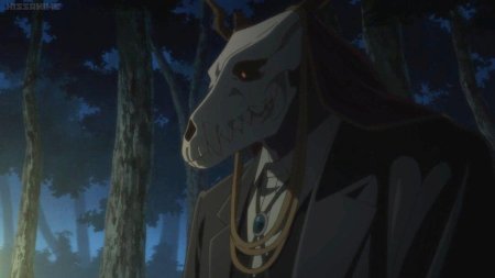 Невеста чародея Элиас человек