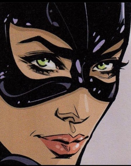 Catwoman DC Art