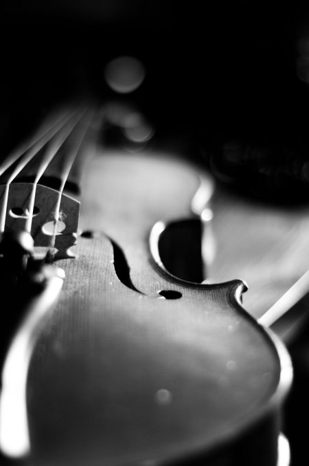 Черная скрипка