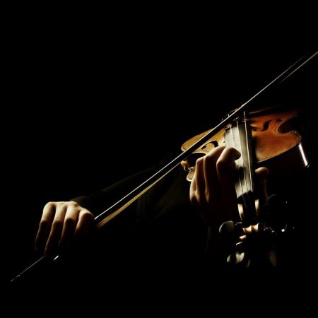 Скрипка на черном фоне