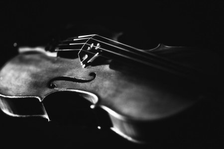 Черная скрипка