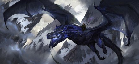 Теневой дракон виверна арт