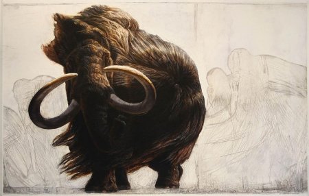 Сибирский шерстистый мамонт