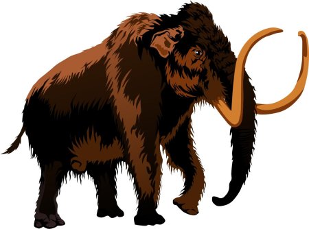 Шерстистый мамонт