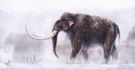 Шерстистый мамонт