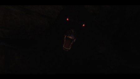 Свется глаза уволка втемноте