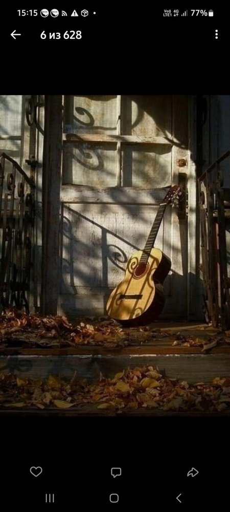 Гитара в листве